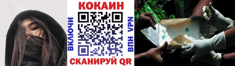 закладка  Вельск  COCAIN FishScale 