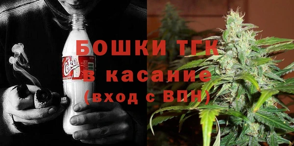 крисы Аркадак