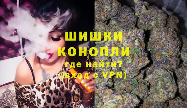 гидра Балахна