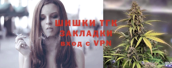гидра Балахна